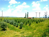 /album/%ce%b7-%ce%ba%ce%b1%ce%bb%ce%bb%ce%b9%ce%b5%cf%81%ce%b3%ce%b5%ce%b9%ce%b1-%ce%bc%ce%b1%cf%83/a983759-253571328118633-1426886608-n-jpg/