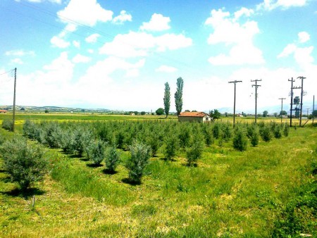 ΤΟ ΧΩΡΑΦΙ ΜΑΣ